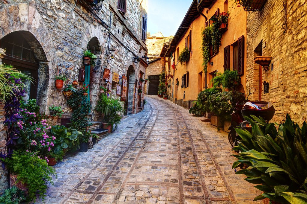 Detail of Street in Spello, Italy by Corbis