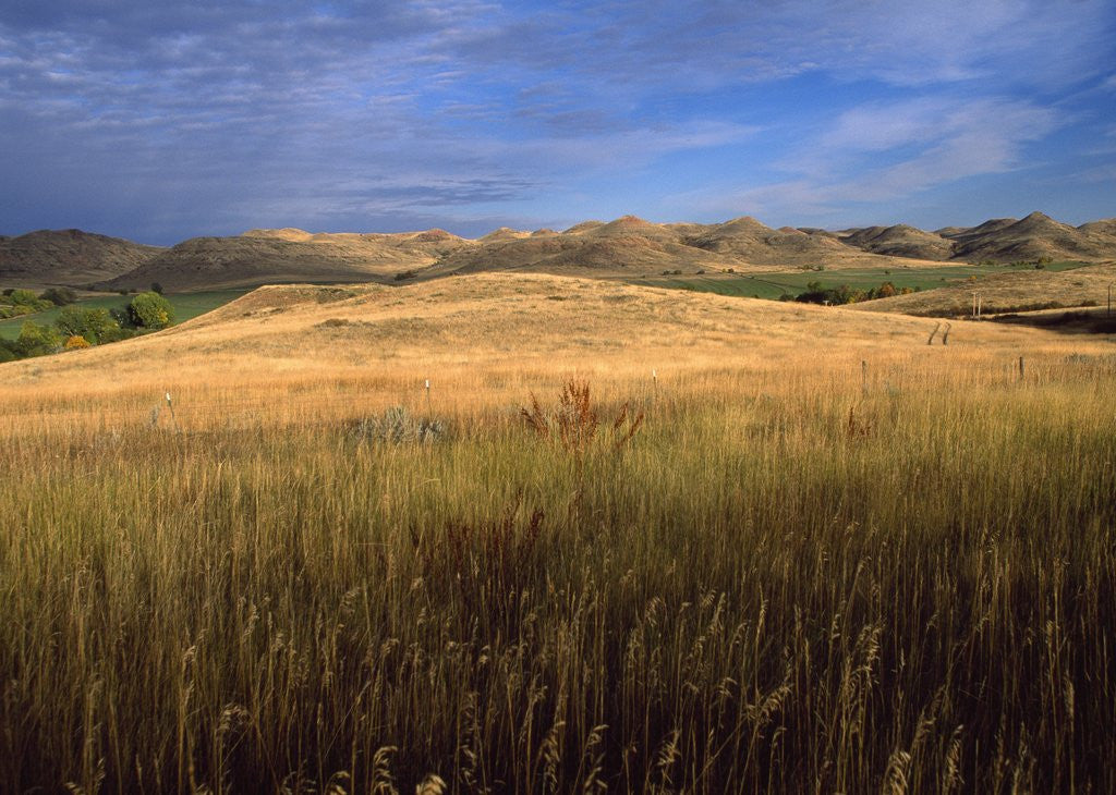 Detail of Landscape near Sheridan by Corbis