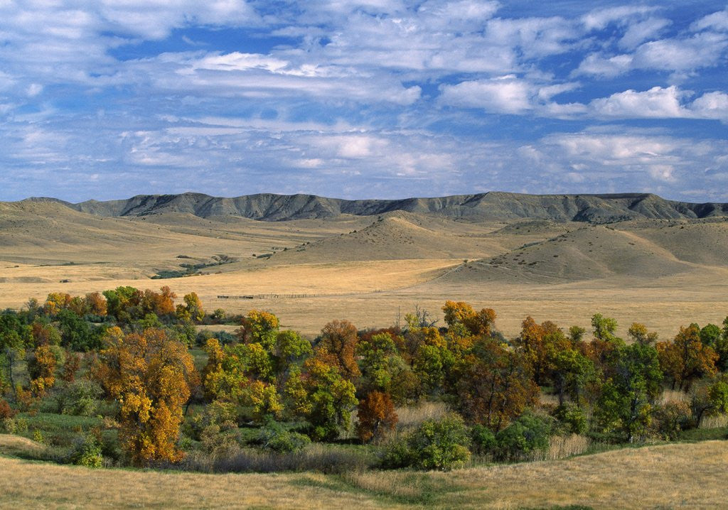 Detail of Landscape near Big Horn by Corbis