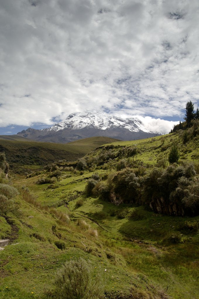 Detail of Landscape around Chimborazo Volcano by Corbis