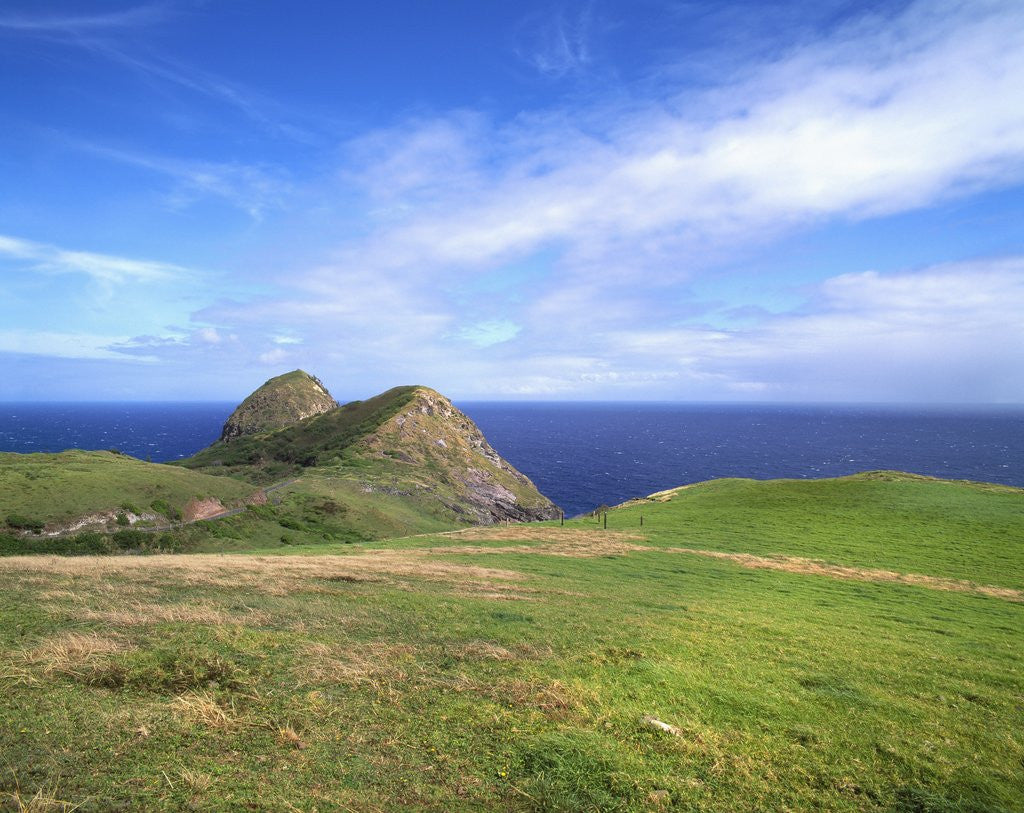 Detail of Landscape near Kahakuloa by Corbis