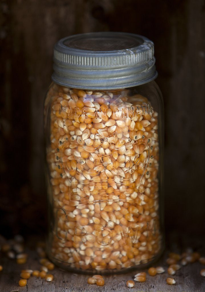 Detail of popcorn kernels in a mason jar by Corbis