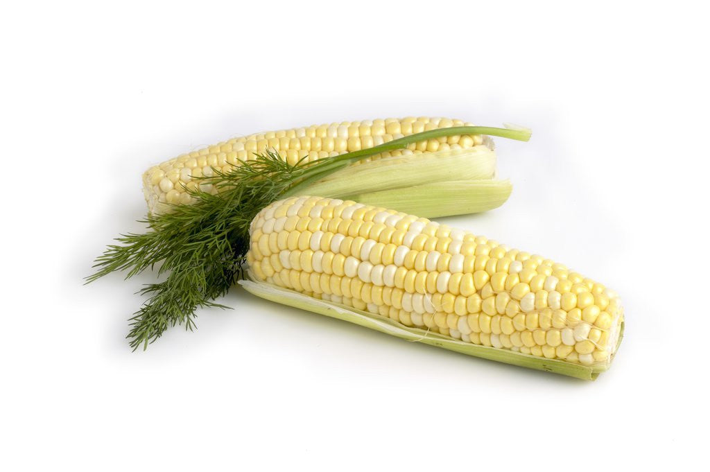 Detail of Corn on the cobb with dill by Corbis