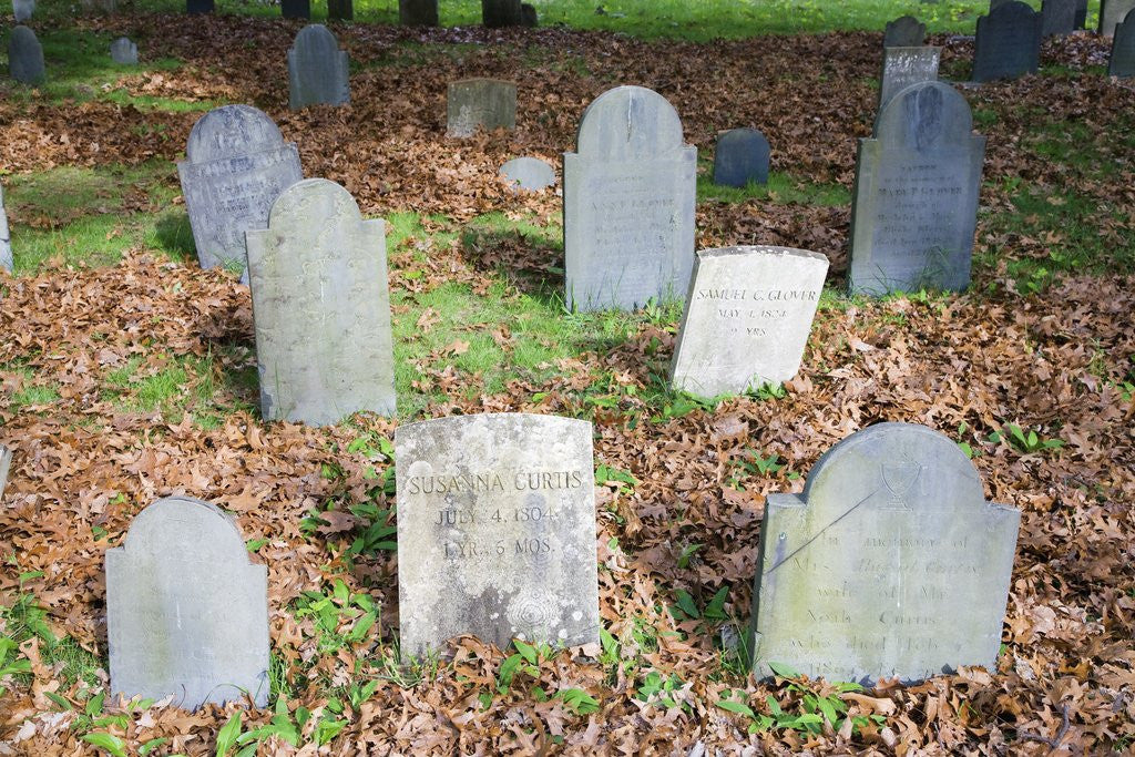 Detail of New England Cemetery by Corbis