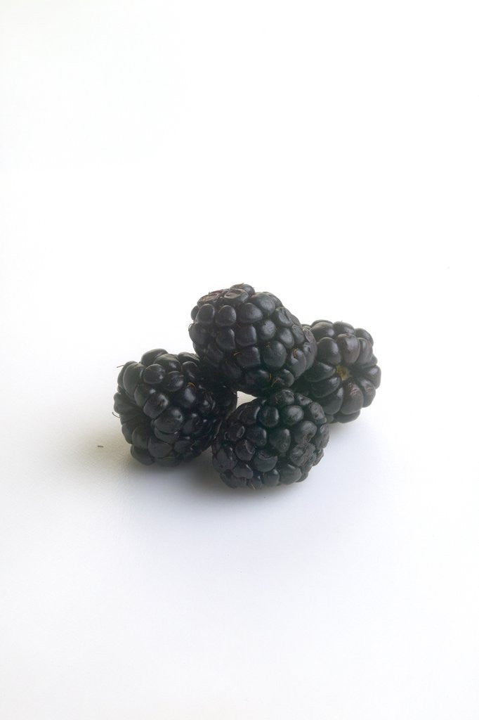 Detail of Blackberries by Corbis