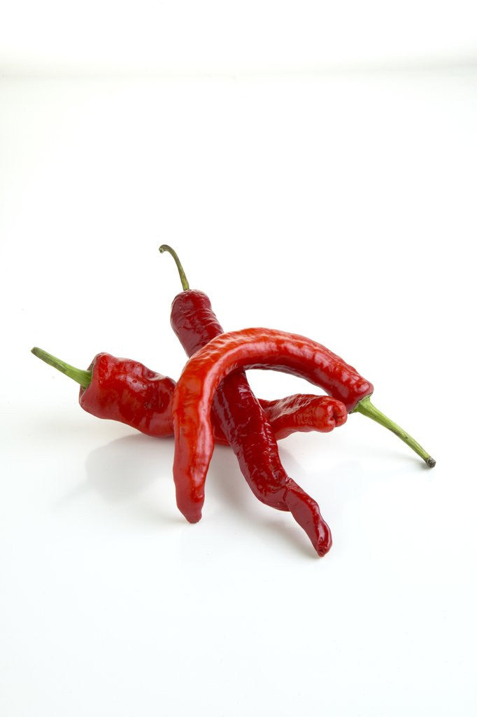 Detail of Chile peppers by Corbis