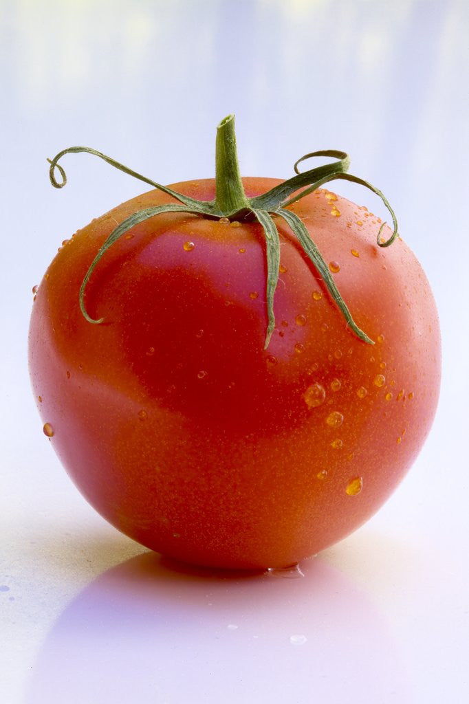 Detail of Tomato by Corbis