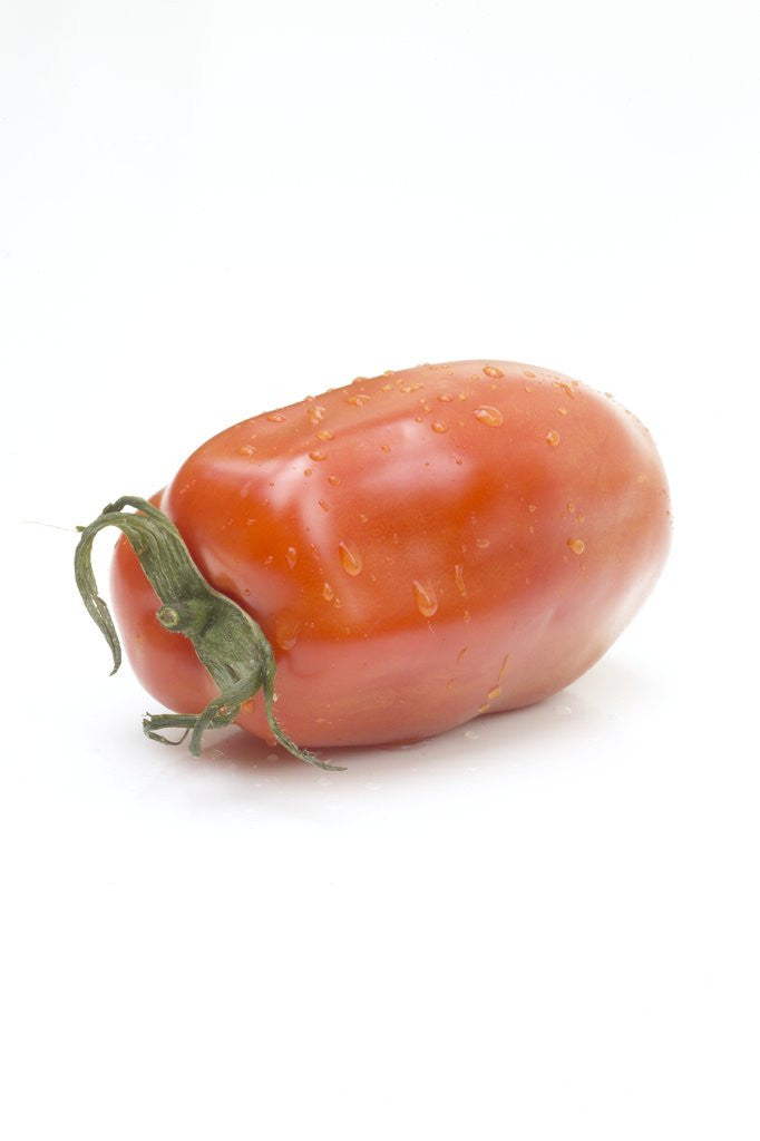 Detail of Plum tomato by Corbis