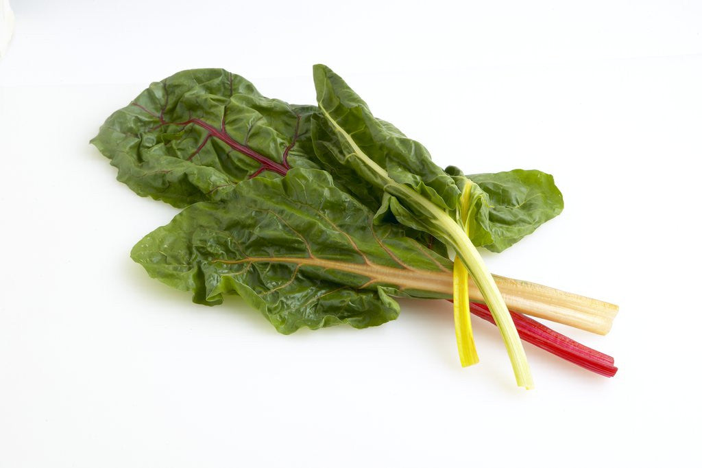 Detail of Swiss chard by Corbis