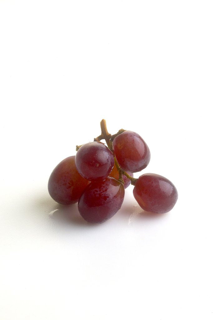 Detail of Red grapes by Corbis