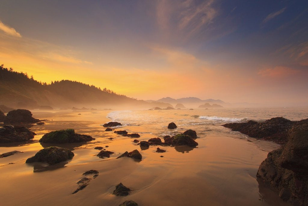 Detail of Sunrise over Crescent Beach, Oregon Coast, Pacific Ocean, Pacific Northwest by Corbis