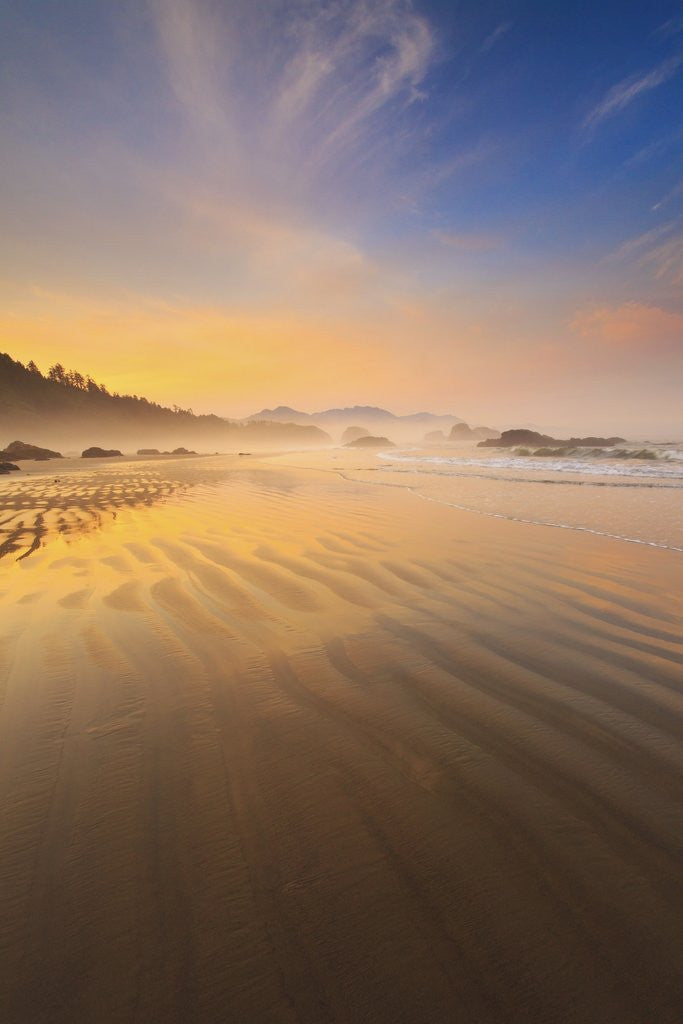 Detail of Sunrise over Crescent Beach, Oregon Coast, Pacific Ocean, Pacific Northwest by Corbis