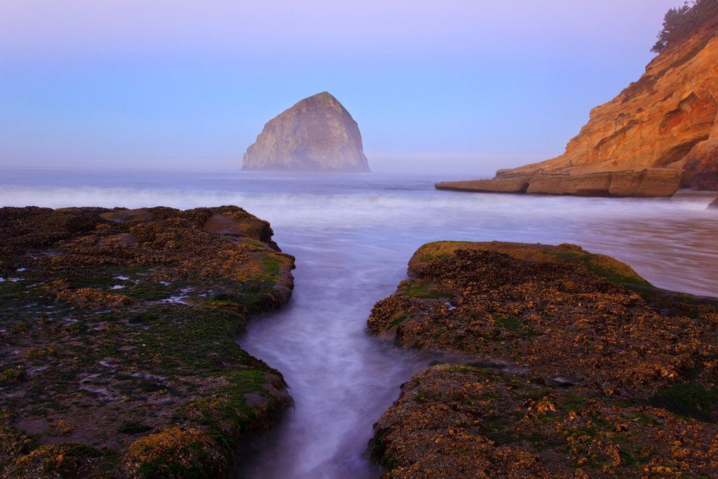 Detail of Beautiful sunrise over Haystack Rock, Cape Kiwanda, Oregon Coast, Pacific Ocean, Pacific Northwest by Corbis