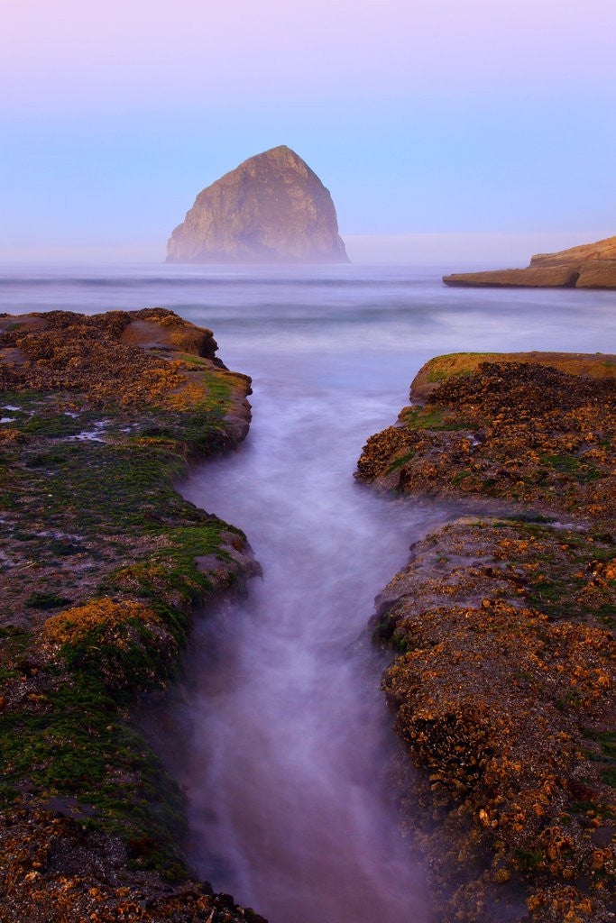 Detail of Beautiful sunrise over Haystack Rock, Cape Kiwanda, Oregon Coast, Pacific Ocean, Pacific Northwest by Corbis