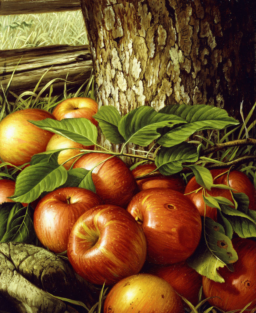 Detail of Apples and Tree Trunk by Levi Wells Prentice