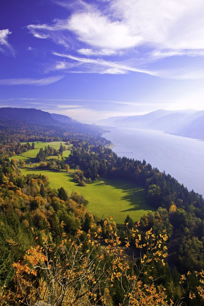 Detail of Fall colors add beauty to Cape Horn, Columbia River Gorge National Scenic Area, Washington State by Corbis