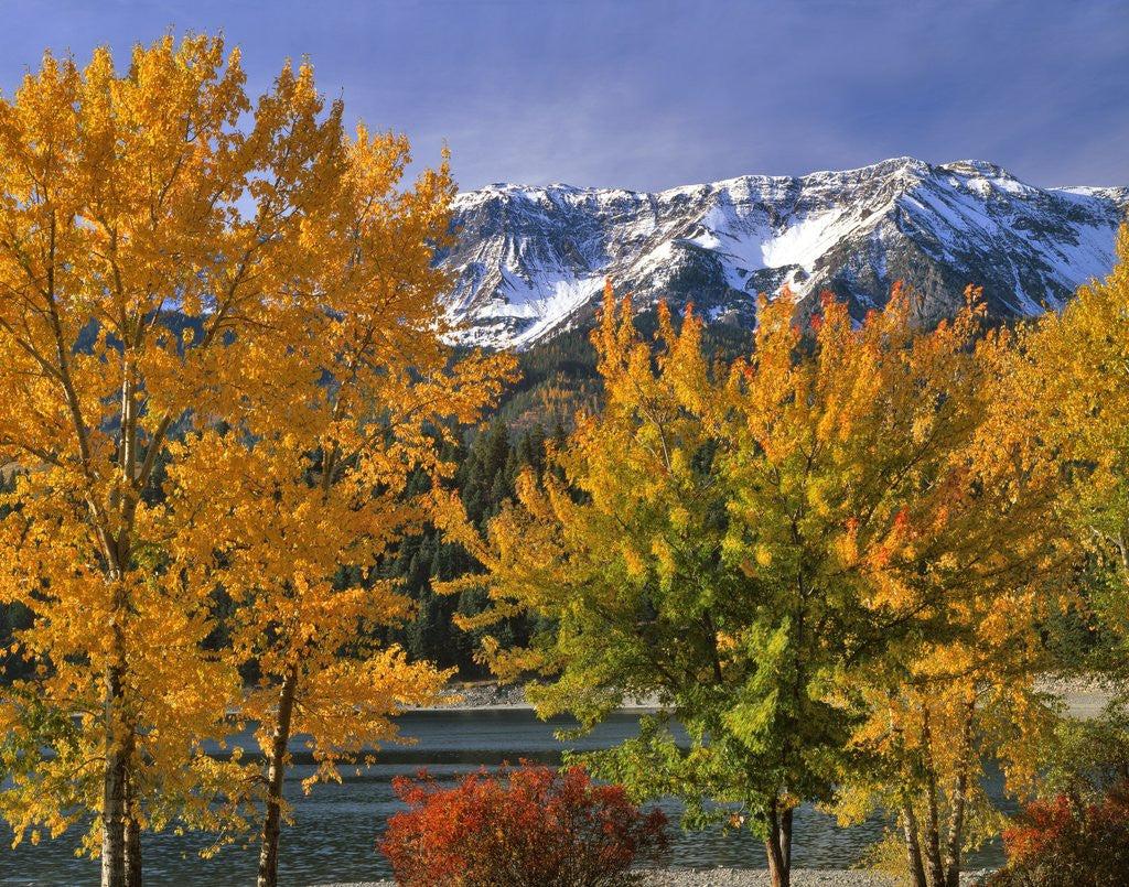 Detail of Chief Joseph Mountain by Corbis