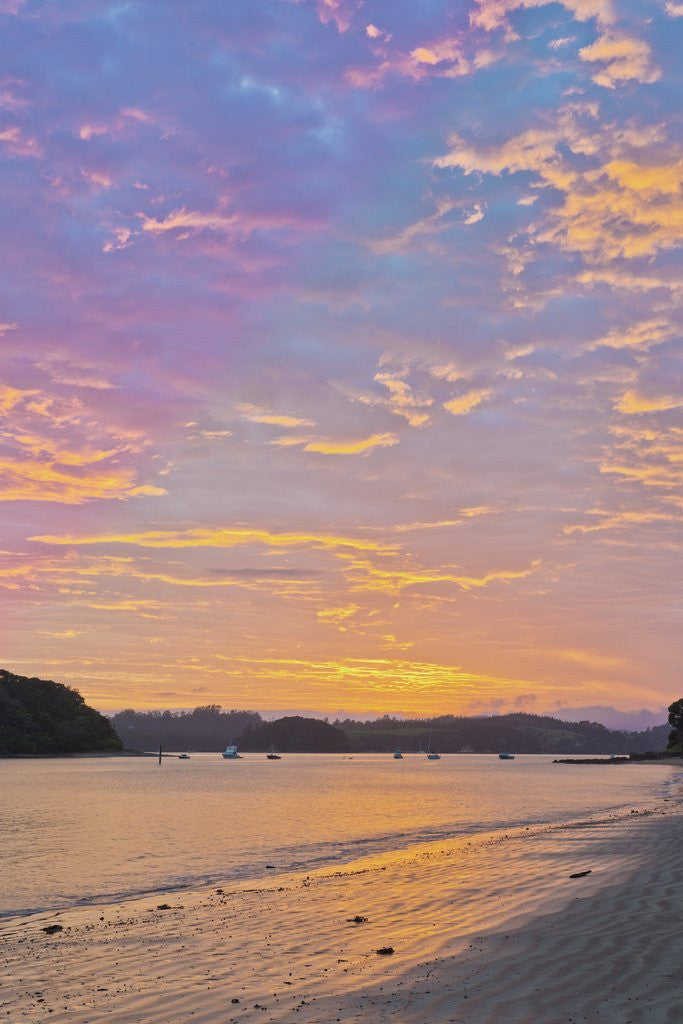 Detail of Bay of Islands Sunrise by Corbis