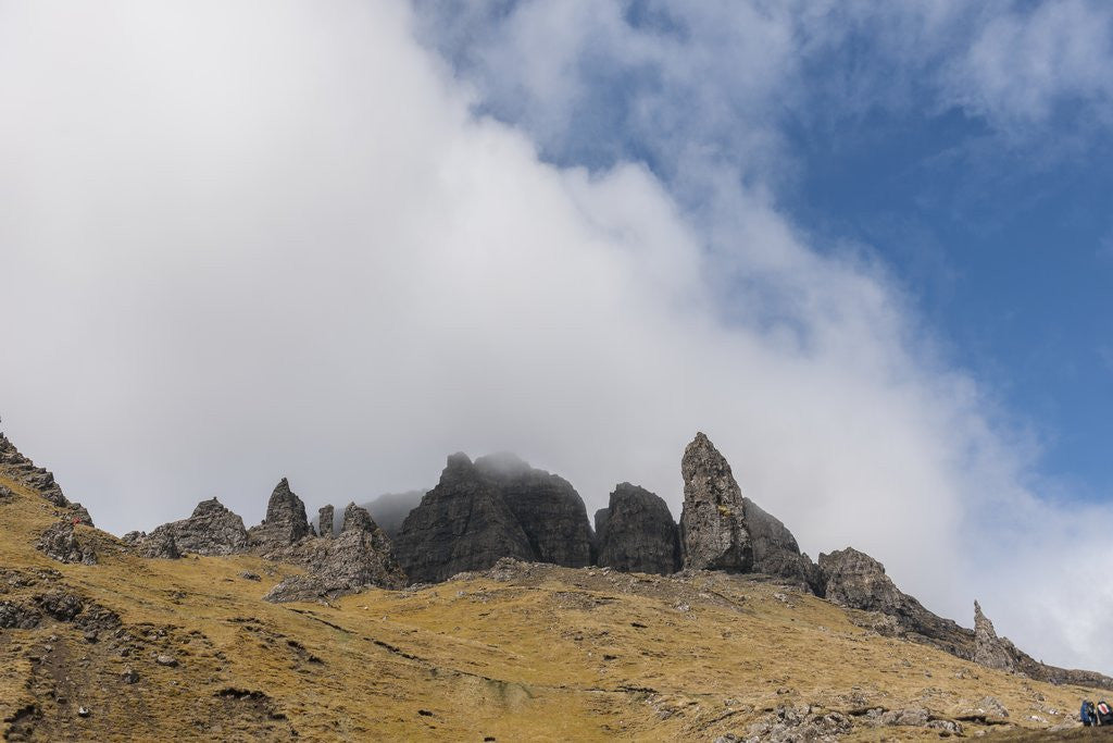 Detail of Landscape around Old Man of Storr, monolithic rock near Portree by Corbis