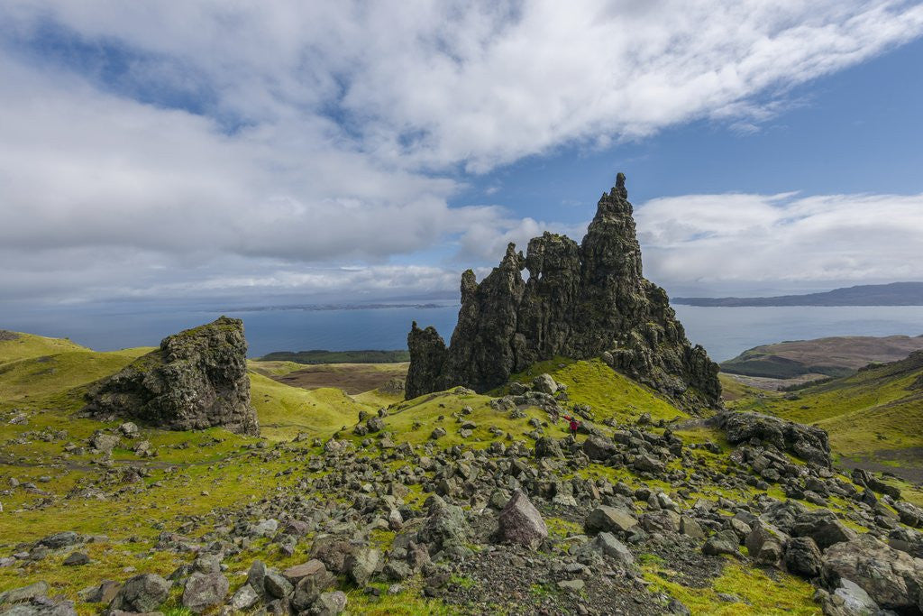 Detail of Landscape around Old Man of Storr, monolithic rock near Portree by Corbis