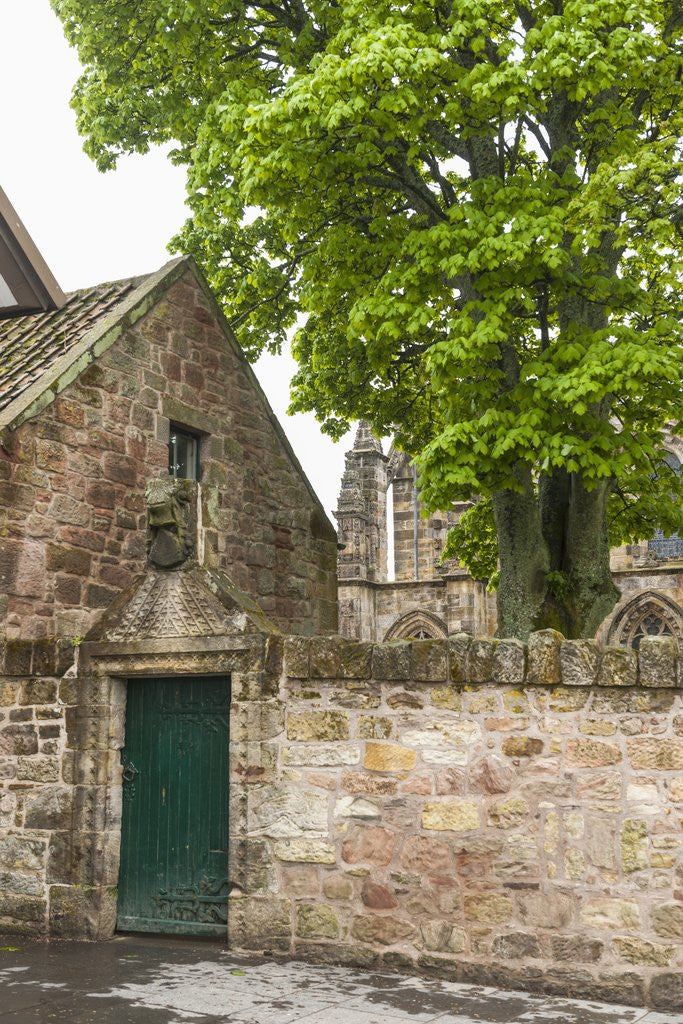 Detail of Rosslyn Chapel by Corbis