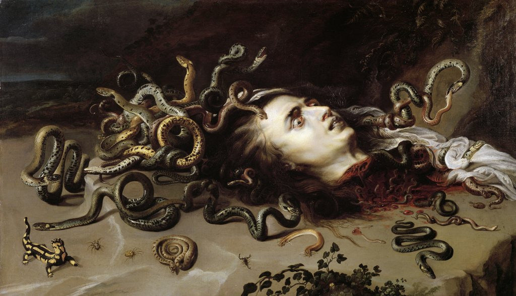 Detail of Head of Medusa - Painting by Pierre Paul Rubens