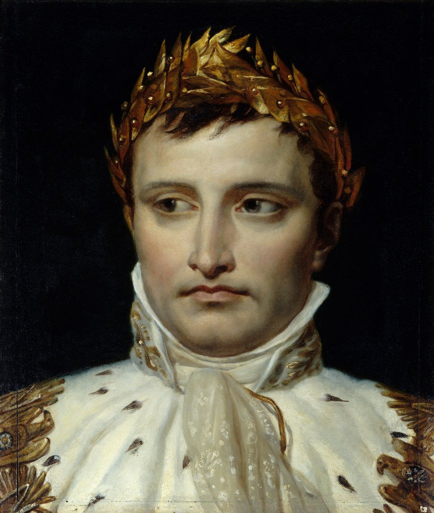 Detail of Portrait of Emperor Napoleon I Bonapart by Jacques-Louis David