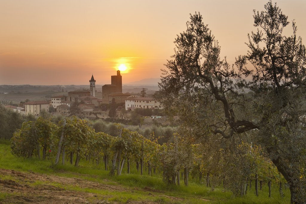 Detail of Vinci is the birthplace of Leonardo da Vinci by Corbis