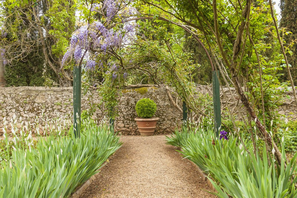 Detail of The garden of Villa Cetinale by Corbis