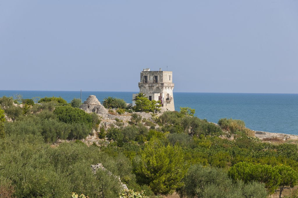 Detail of Landscape between Trani and Bisceglie by Corbis