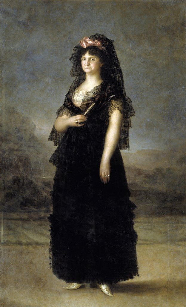 Detail of Queen Maria Luisa with Mantille by Francisco de Goya