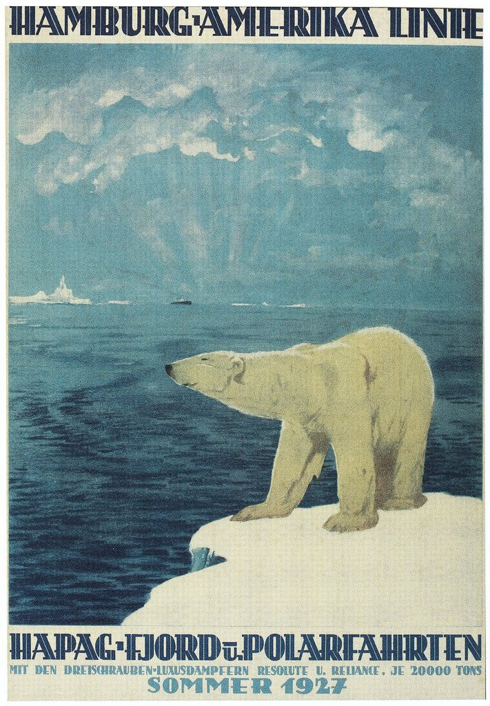 Detail of Polar Bear, Fjord Cruise Travel Poster by Corbis