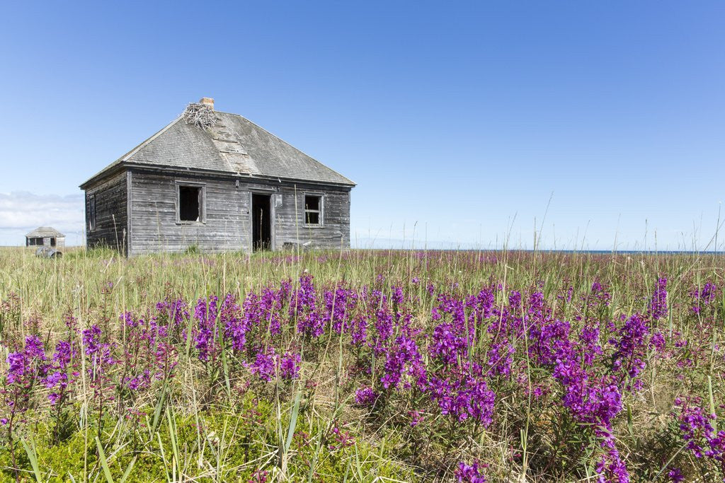 Detail of Abandoned Hudson Bay Company Trading Post, Canada by Corbis