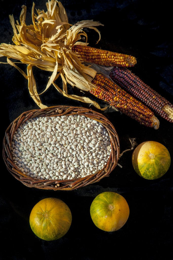 Detail of Maize, Beans and Squash by Corbis