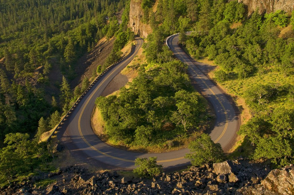 Detail of Rowena Loop Road by Corbis