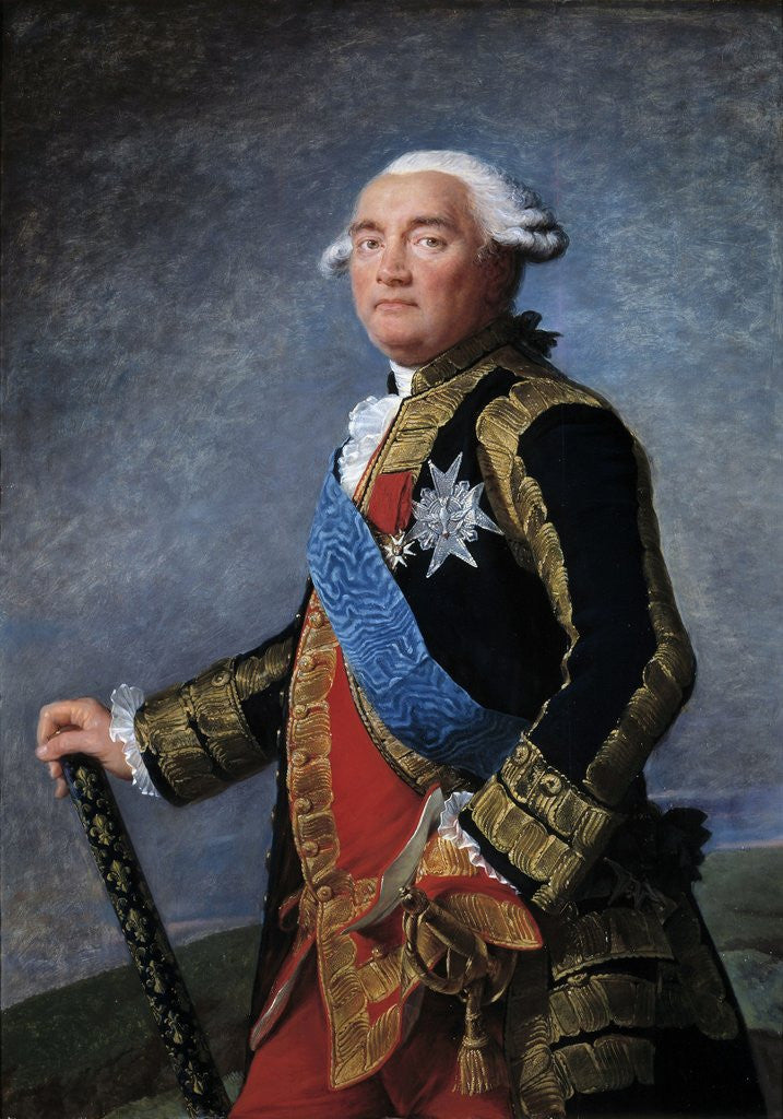 Detail of Portrait of Philippe Henri de Segur by Elisabeth Vigee-Lebrun