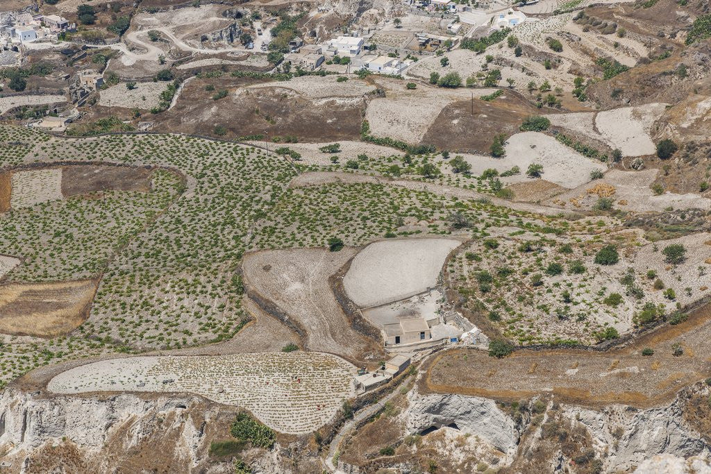 Detail of Landscape near Emborio by Corbis