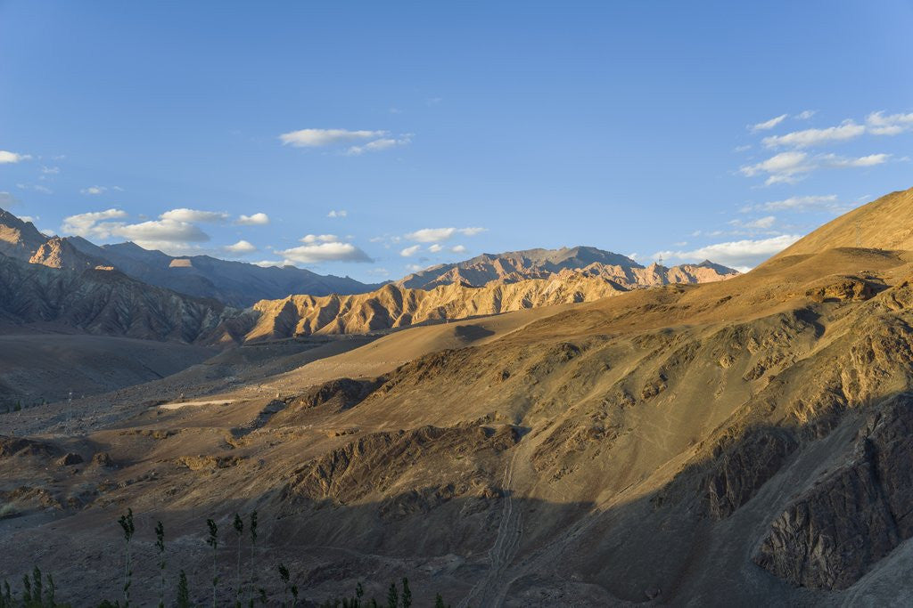 Detail of Alchi, landscape around the village by Corbis