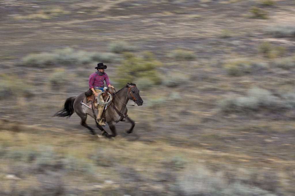 Detail of Cowboy riding at full speed in motion by Corbis