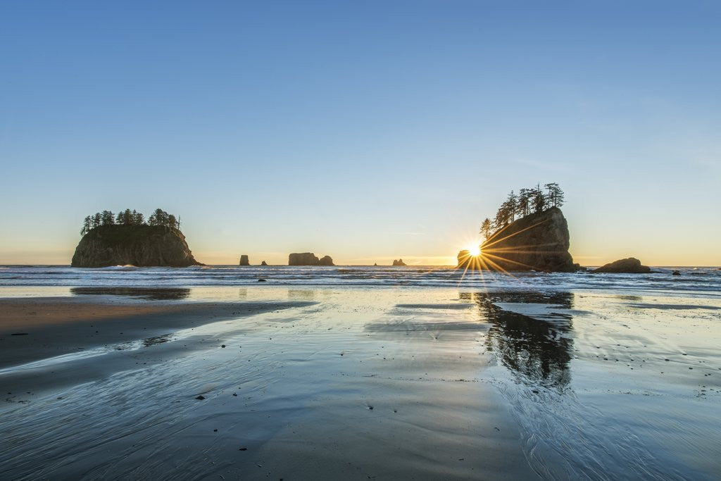 Detail of Second Beach Sunset by Corbis