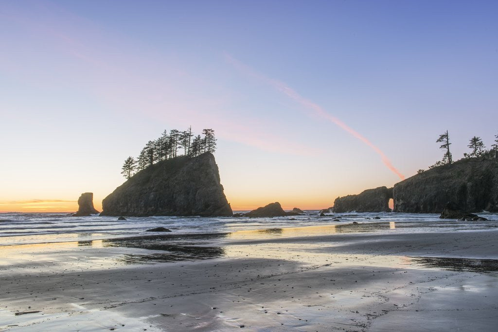 Detail of Second Beach Sunset by Corbis