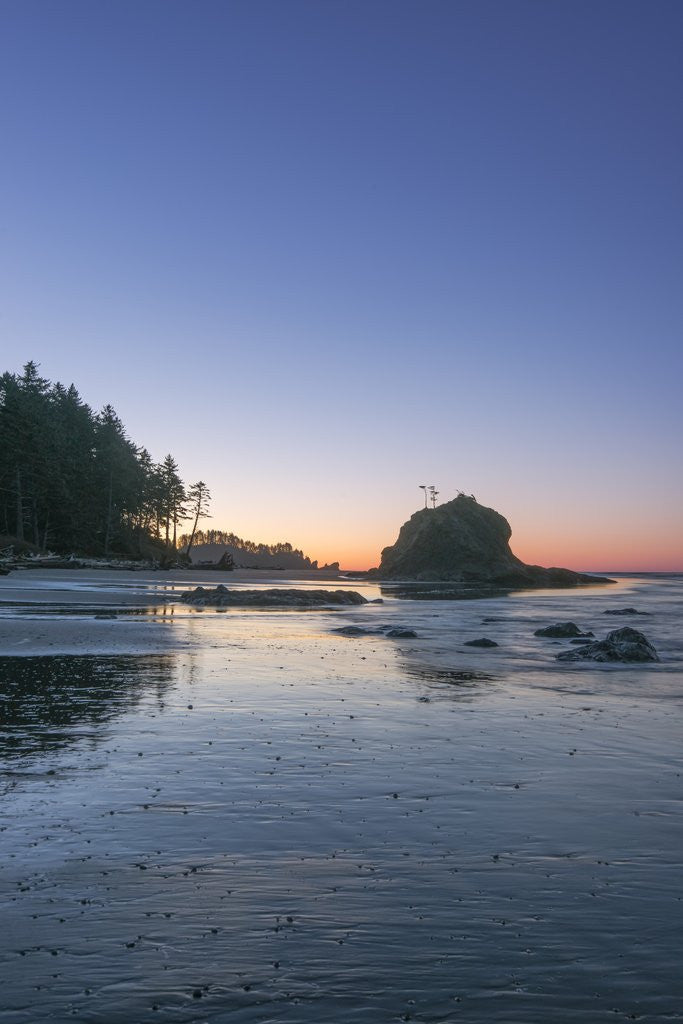 Detail of Second Beach Dawn by Corbis