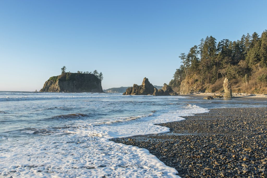 Detail of Ruby Beach by Corbis