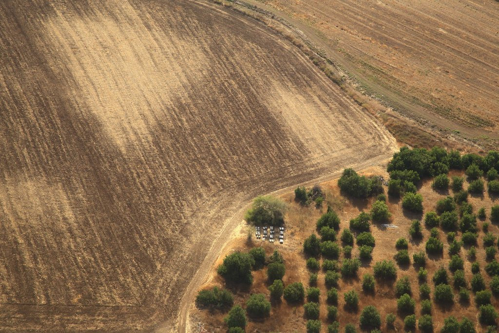 Detail of Landscape from above between Tel Aviv and Jerusalem. by Corbis