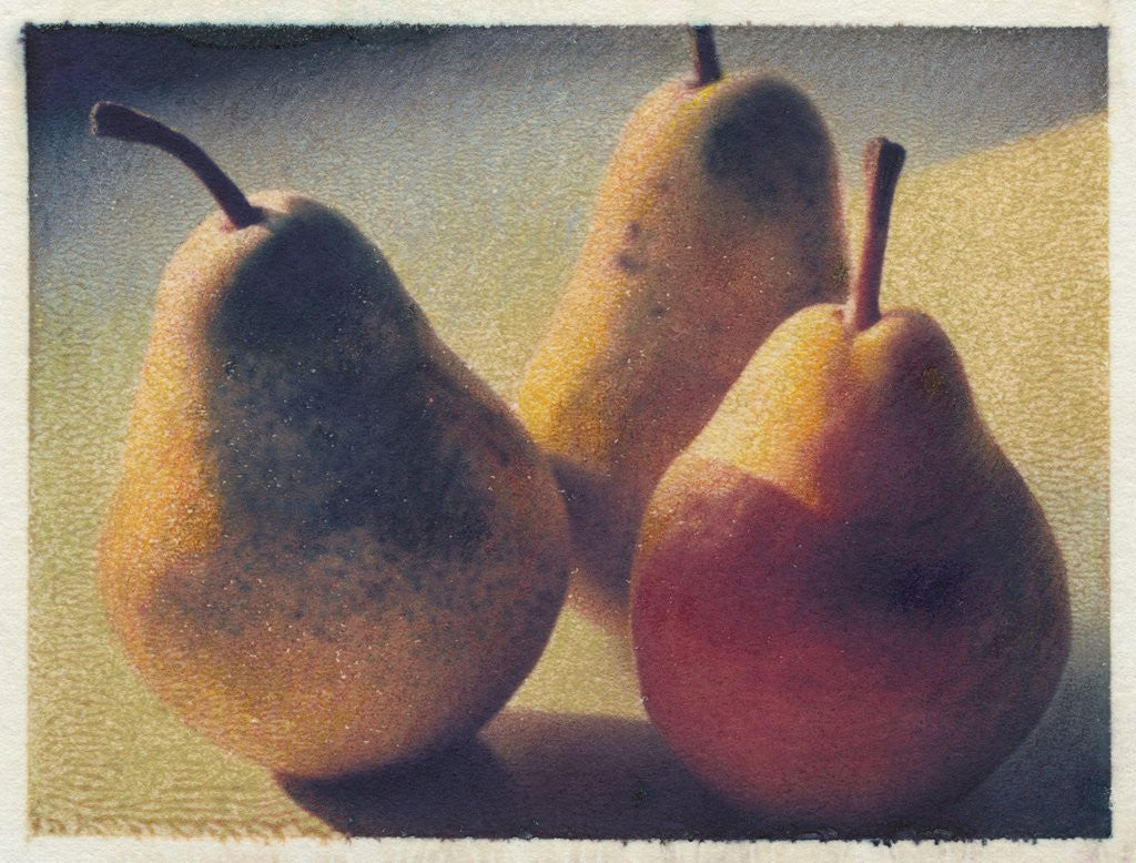 Detail of Three Bartlett Pears by Jennifer Kennard