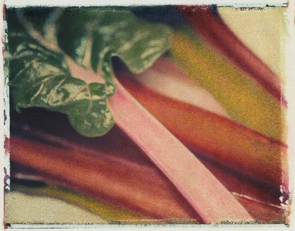 Detail of Chard by Jennifer Kennard