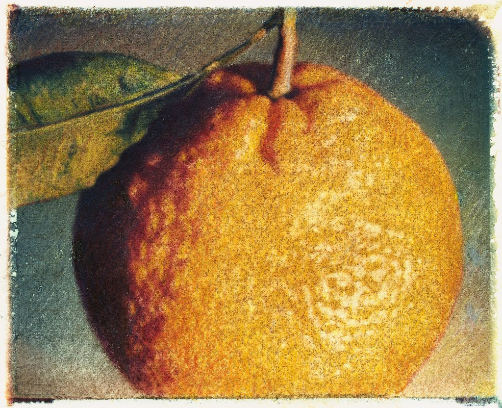 Detail of Tangerine by Jennifer Kennard