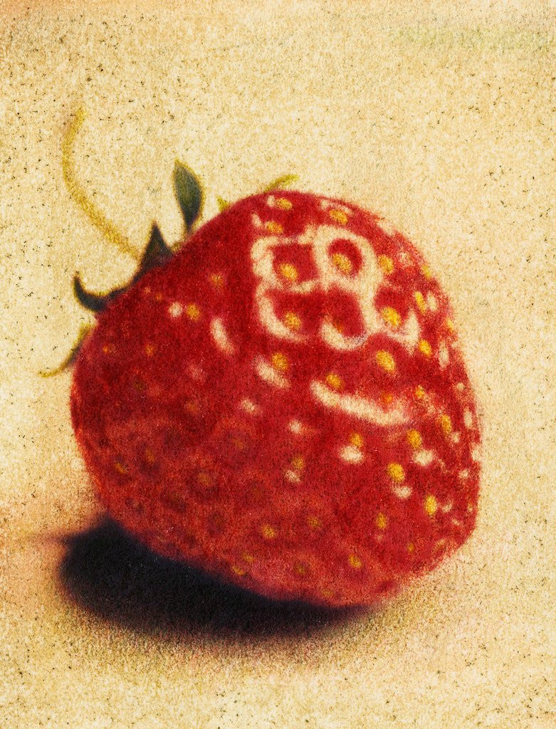 Detail of Single Strawberry by Jennifer Kennard