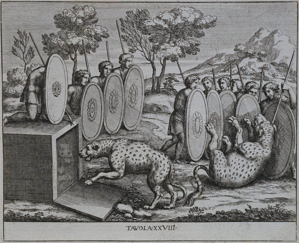 Detail of Illustration of Romans Capturing Leopards by Pietro Santo Bartoli