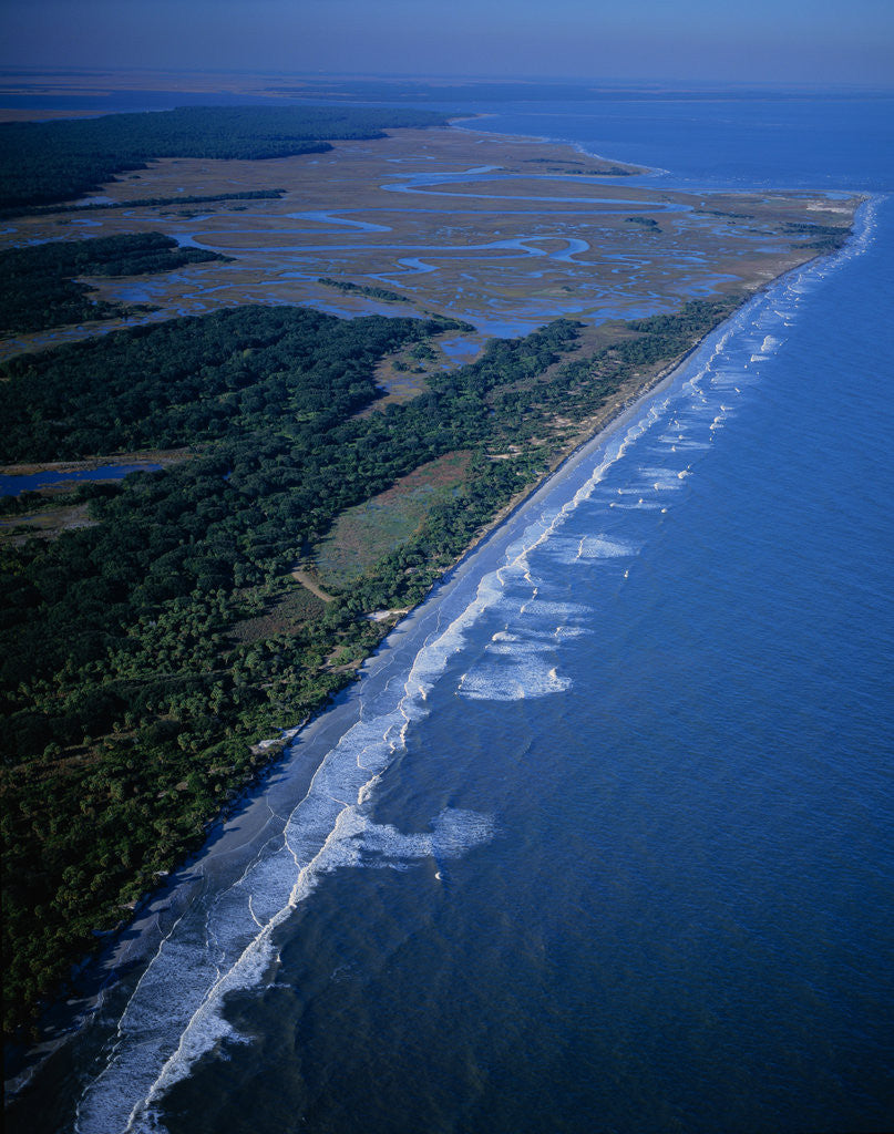 Detail of St. Catherines Island by Corbis